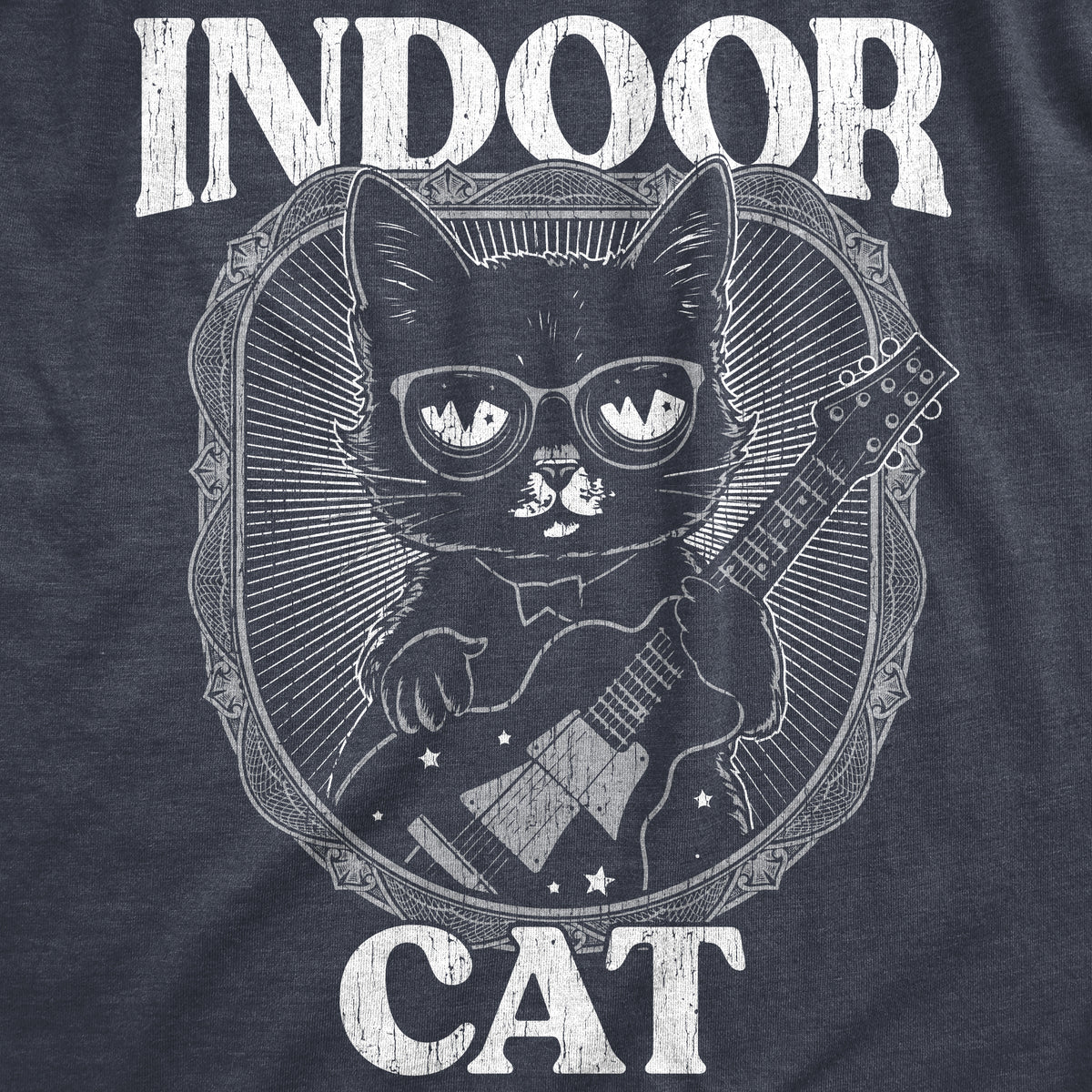 Indoor Cat Women&#39;s T Shirt