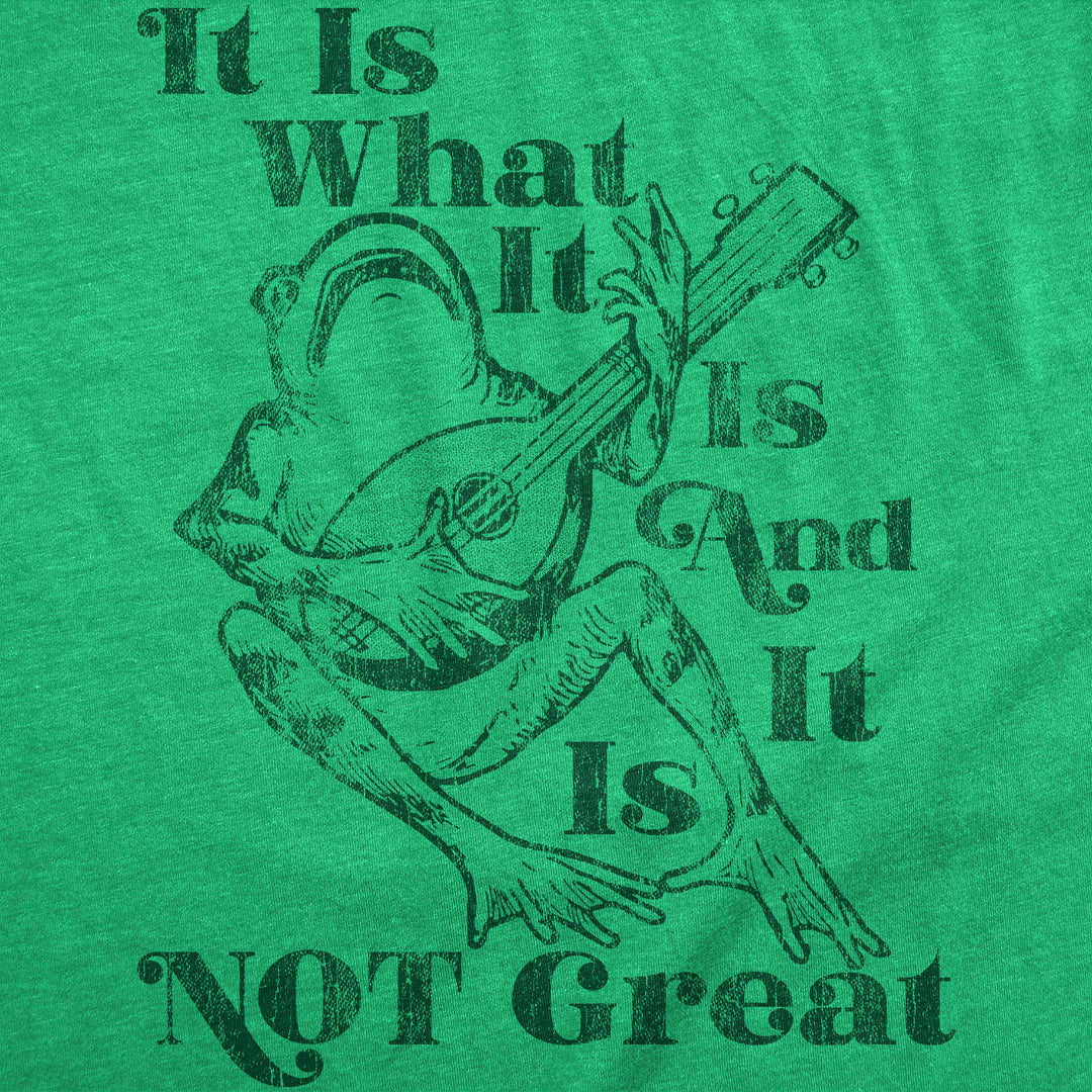 It Is What It Is And It Is Not Great Men's T Shirt