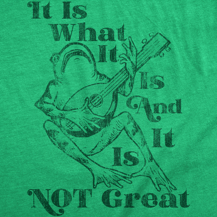 It Is What It Is And It Is Not Great Men's T Shirt