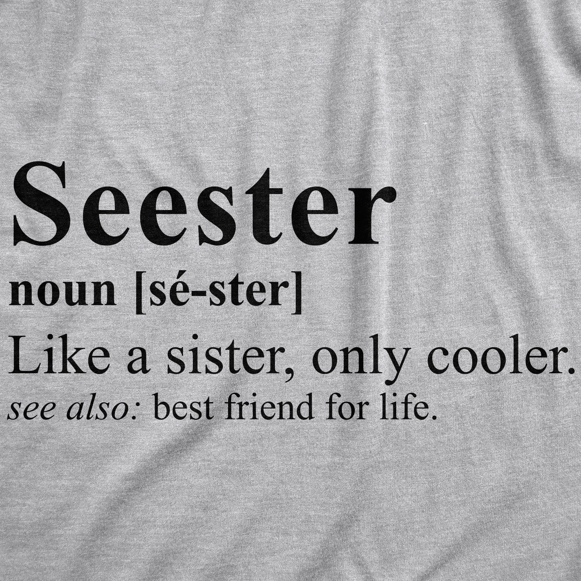 Funny Light Heather Grey - Seester Seester Womens T Shirt Nerdy Sister sarcastic Tee