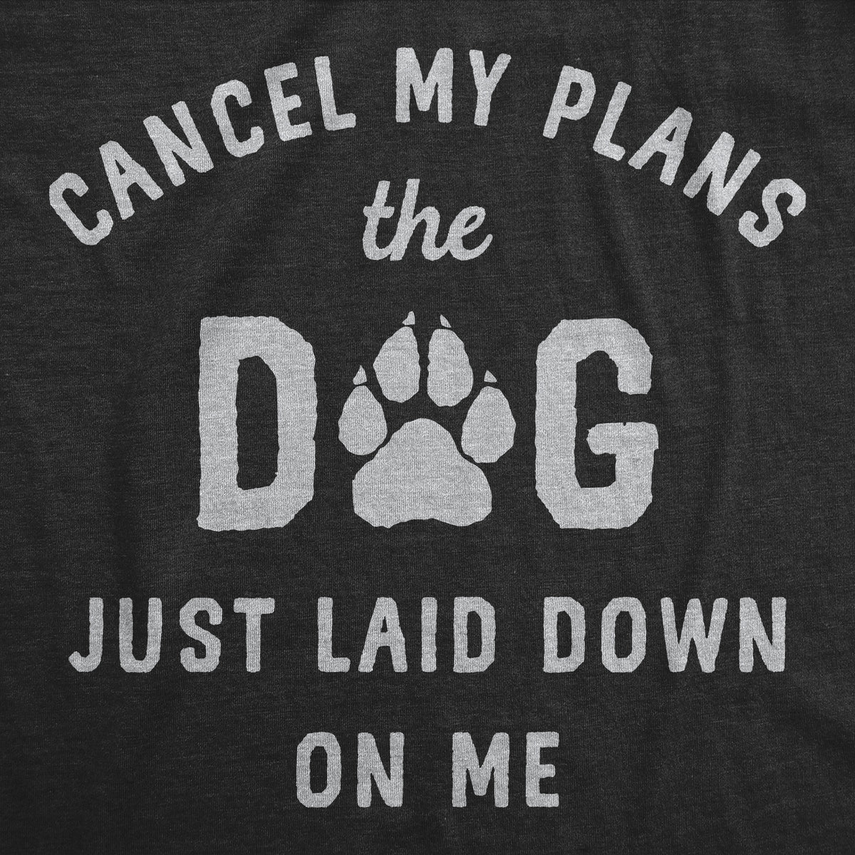 Cancel My Plans The Dog Just Laid Down On Me Women&#39;s T Shirt