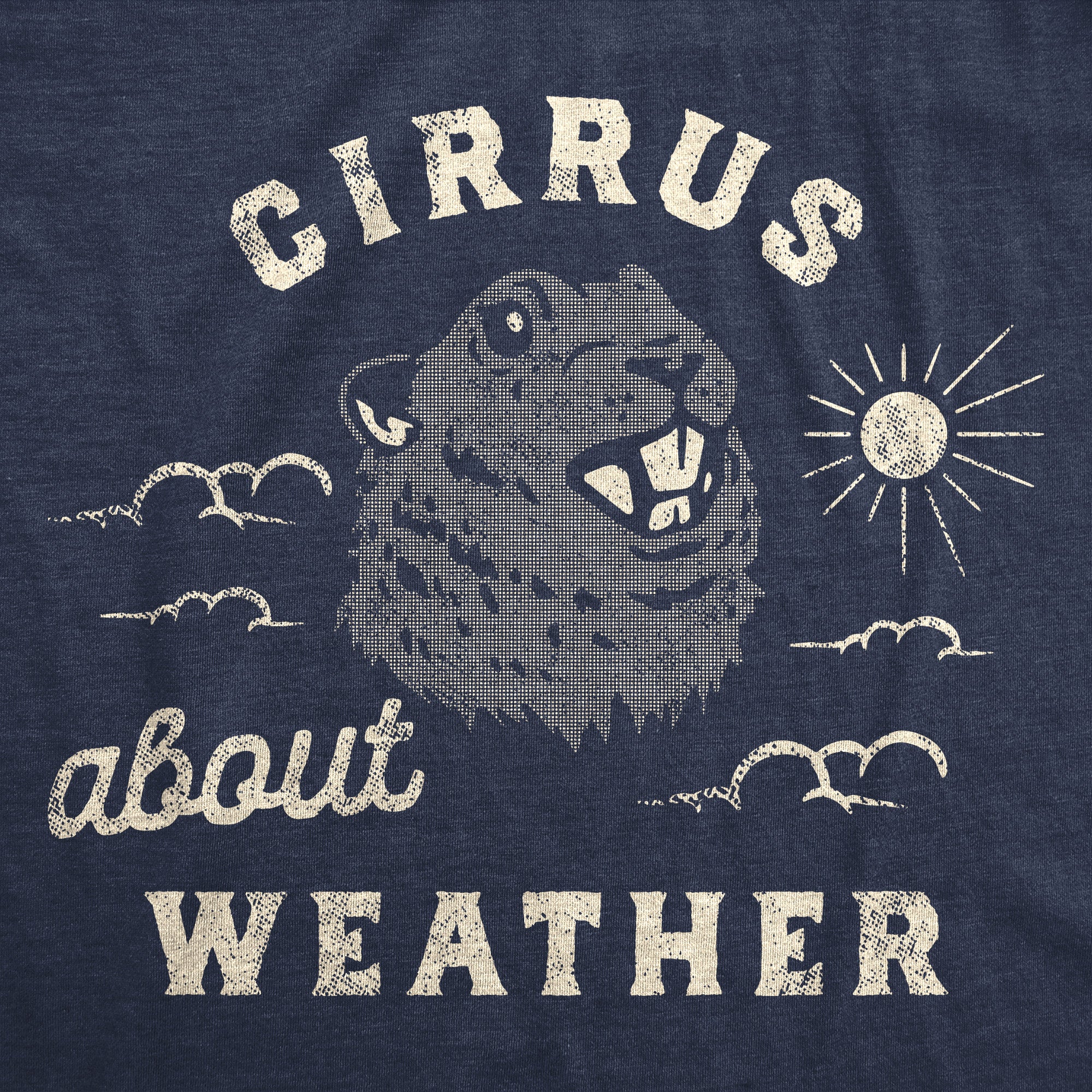 Funny Heather Navy - Cirrus About Weather Cirrus About Weather Womens T Shirt Nerdy Sarcastic Tee