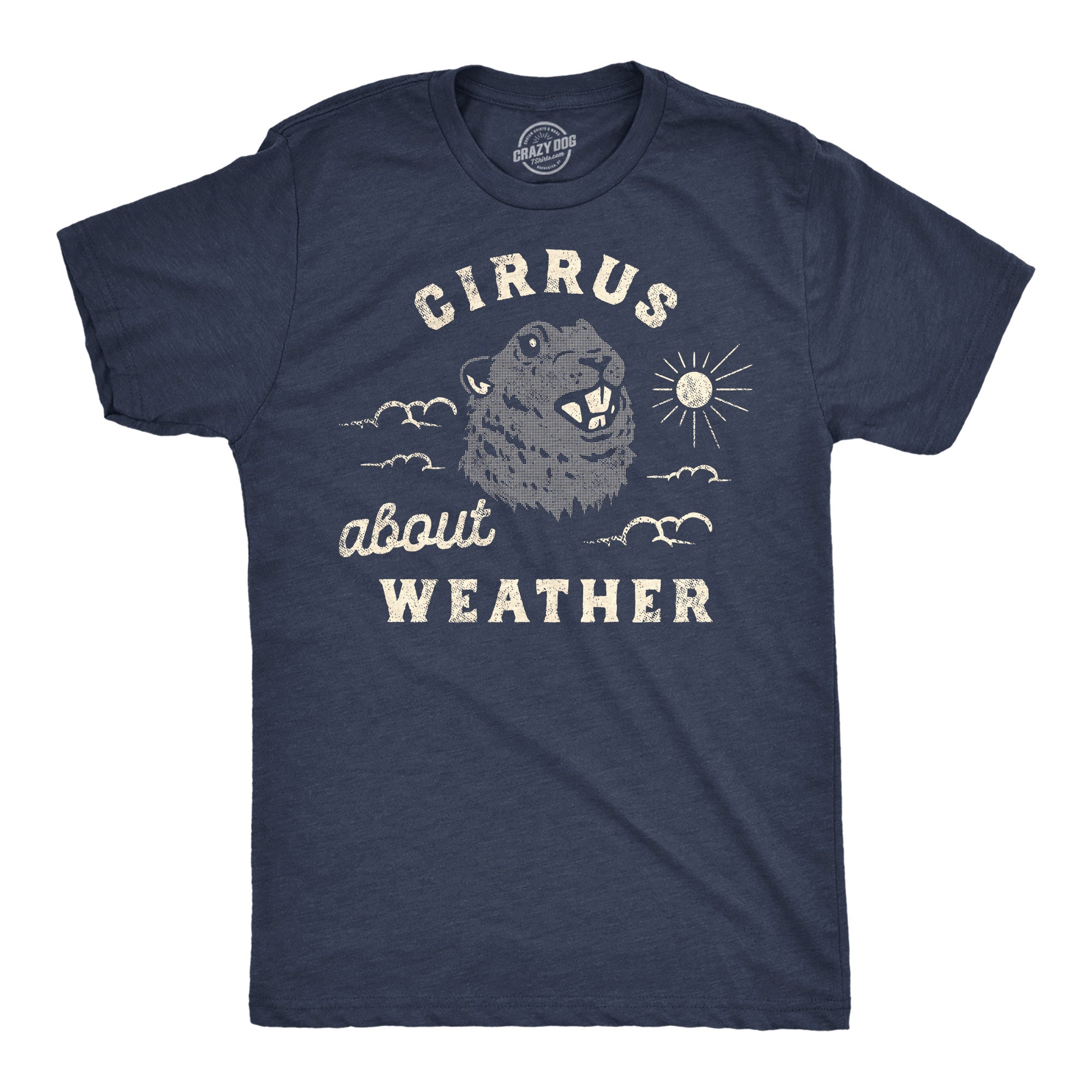 Funny Heather Navy - Cirrus About Weather Cirrus About Weather Mens T Shirt Nerdy Sarcastic Tee