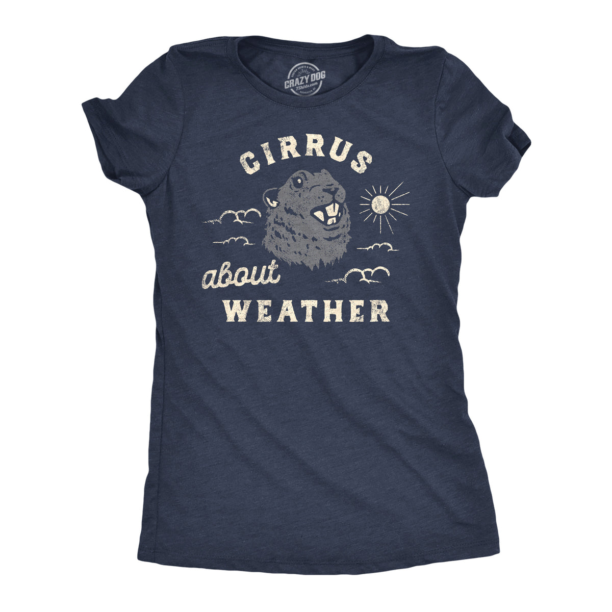 Funny Heather Navy - Cirrus About Weather Cirrus About Weather Womens T Shirt Nerdy Sarcastic Tee