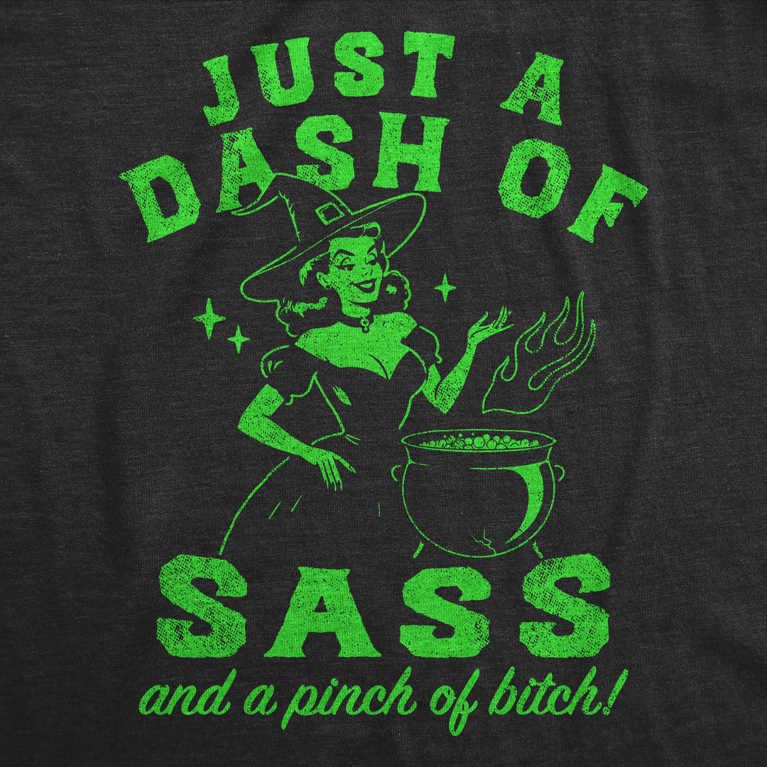 Just A Dash Of Sass And A Pinch Of Bitch Women's T Shirt