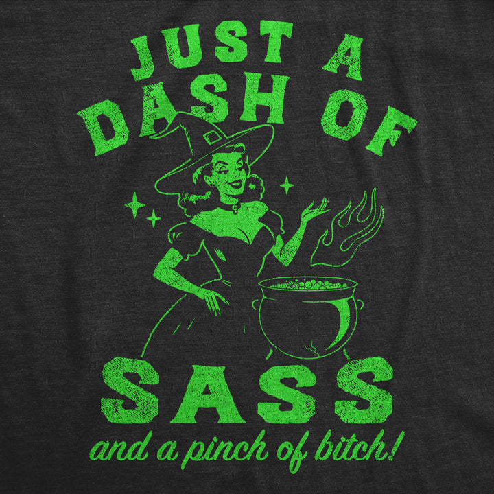 Just A Dash Of Sass And A Pinch Of Bitch Women's T Shirt