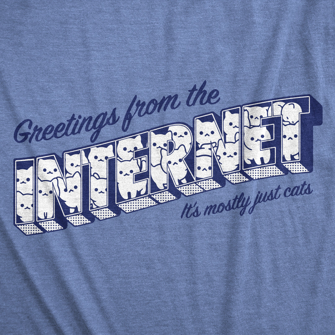 Greetings From The Internet Its Mostly Cats Women's T Shirt
