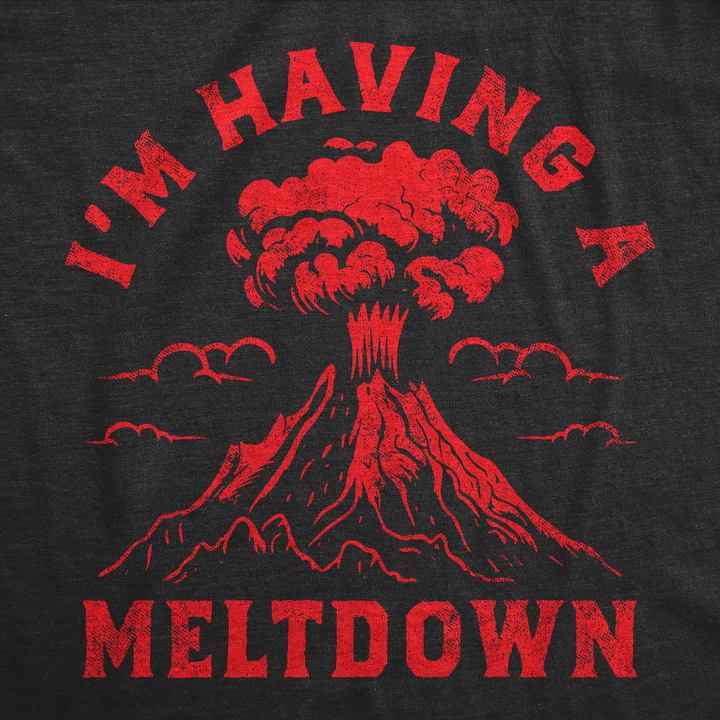 Im Having A Meltdown Women's T Shirt