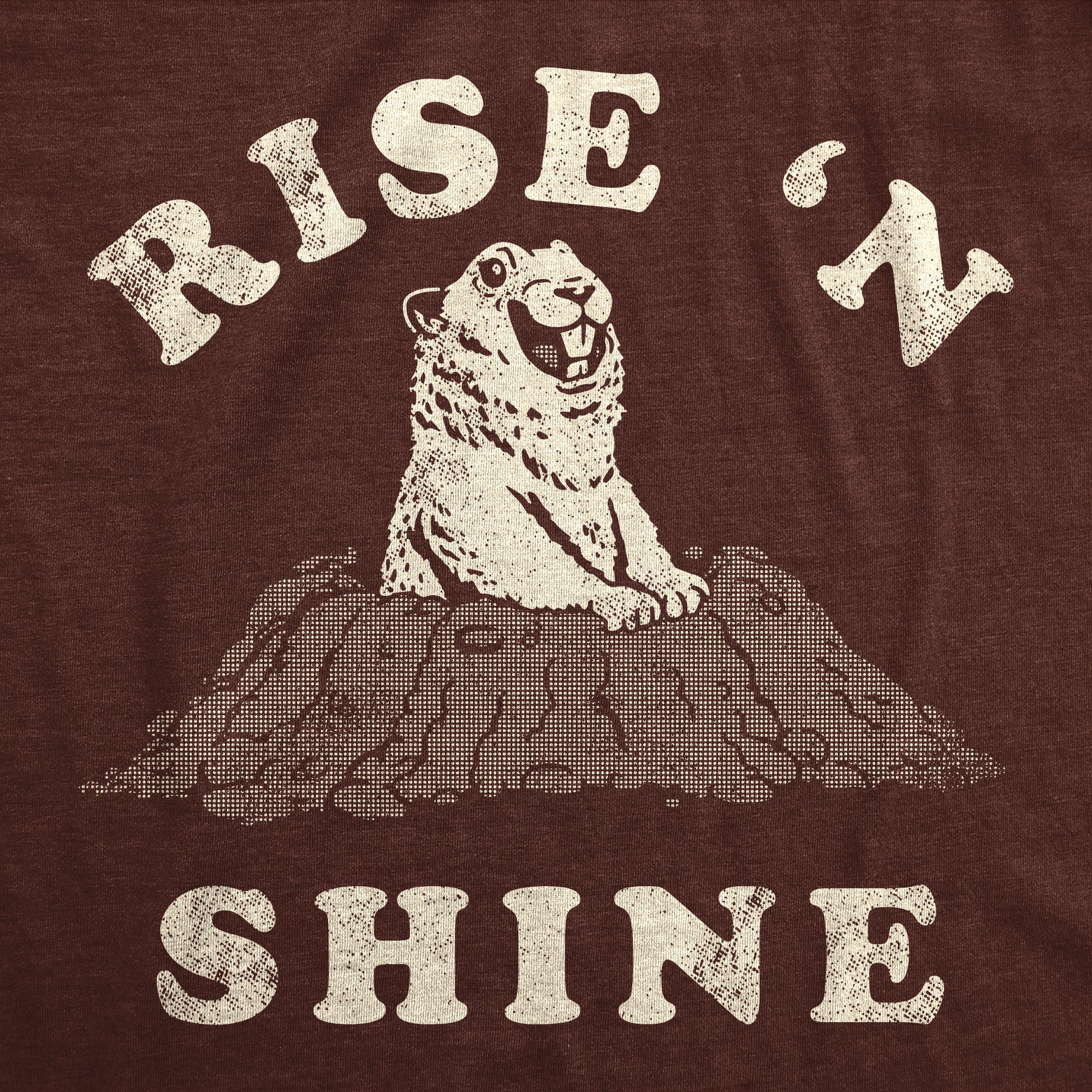 Funny Heather Brown - Rise N Shine Rise N Shine Mens T Shirt Nerdy Sarcastic Tee
