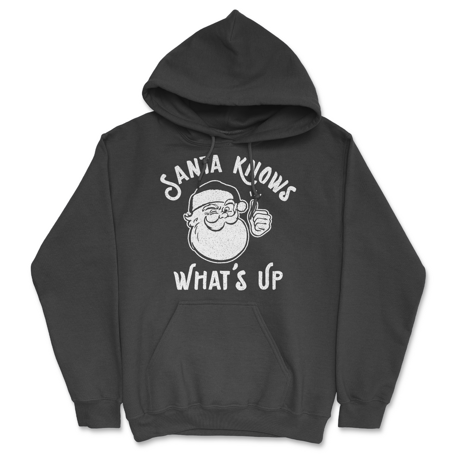 Funny Black - Santa Knows Whats Up Santa Knows Whats Up Hoodie Nerdy Christmas sarcastic Tee