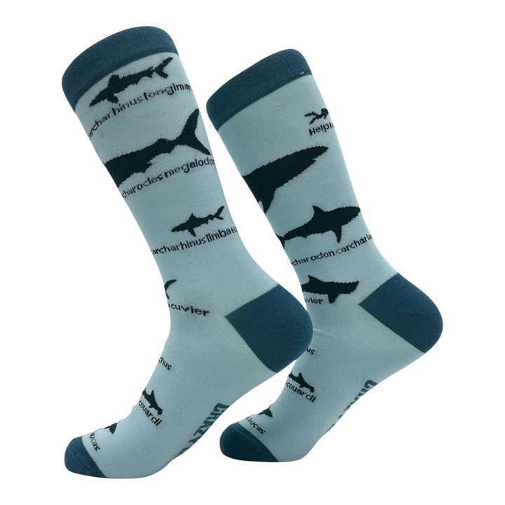 A thumbnail image of the design.