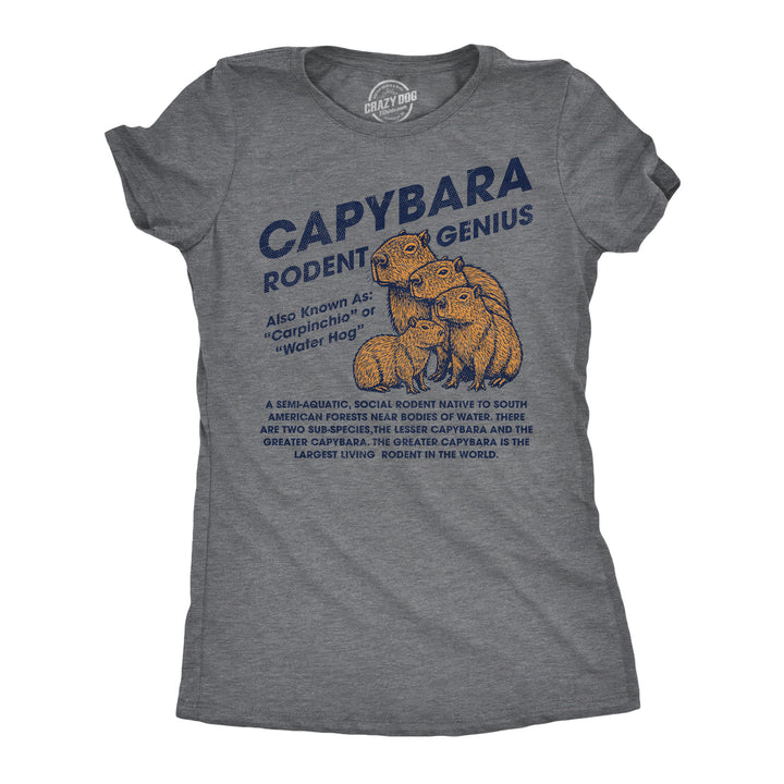 Funny Dark Heather Grey - Capybara Capybara Rodent Genius Womens T Shirt Nerdy animal Tee