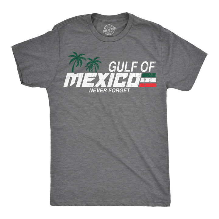Funny Dark Heather Grey - Gulf Of Mexico Gulf Of Mexico Never Forget Mens T Shirt Nerdy political sarcastic Tee