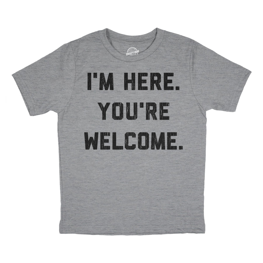 Funny Light Heather Grey - WELCOME Im Here Youre Welcome Youth T Shirt Nerdy Sarcastic Tee