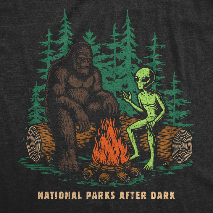 National Parks After Dark Men's T Shirt