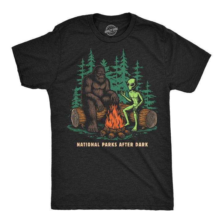 Funny Heather Black - National Parks National Parks After Dark Mens T Shirt Nerdy camping sarcastic Tee