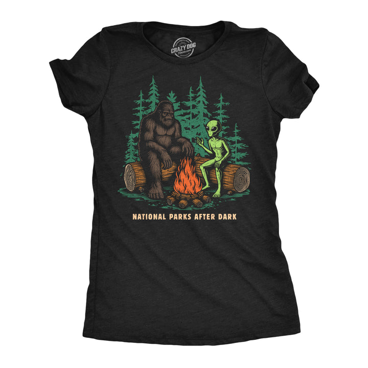 Funny Heather Black - National Parks Dark National Parks After Dark Womens T Shirt Nerdy camping Tee