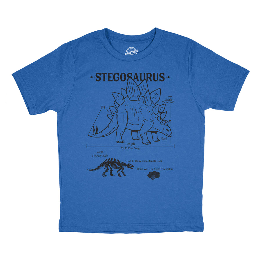 Funny Heather Royal - Stego Infographic Stegosaurus Infographic Youth T Shirt Nerdy dinosaur science Tee
