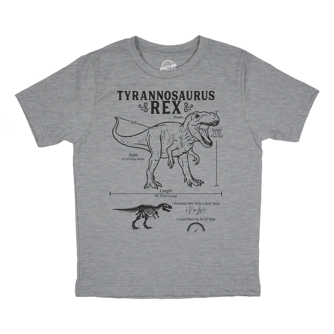 Funny Light Heather Grey - Trex Infographic Tyrannosaurus Rex Infographic Youth T Shirt Nerdy dinosaur science Tee