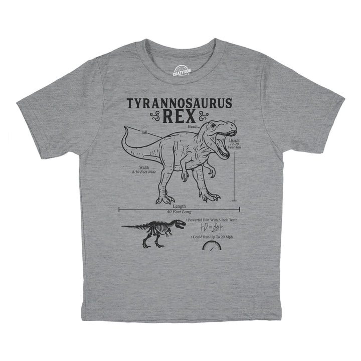 Funny Light Heather Grey - Trex Infographic Tyrannosaurus Rex Infographic Youth T Shirt Nerdy dinosaur science Tee