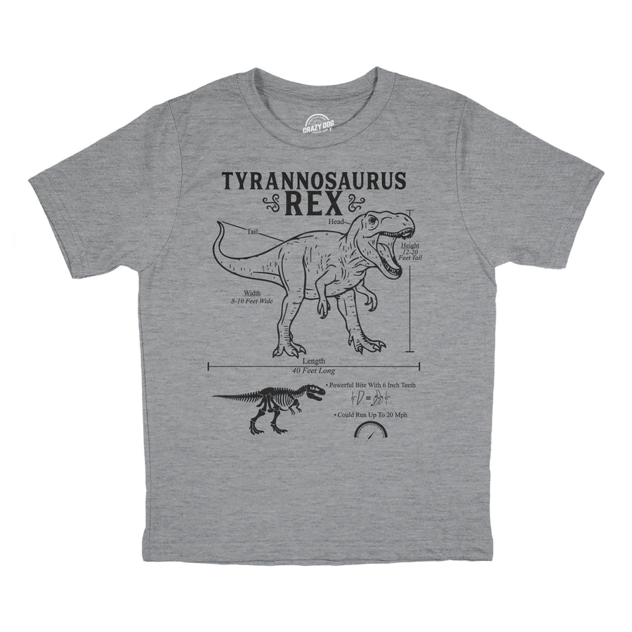 Funny Light Heather Grey - Trex Infographic Tyrannosaurus Rex Infographic Youth T Shirt Nerdy dinosaur science Tee