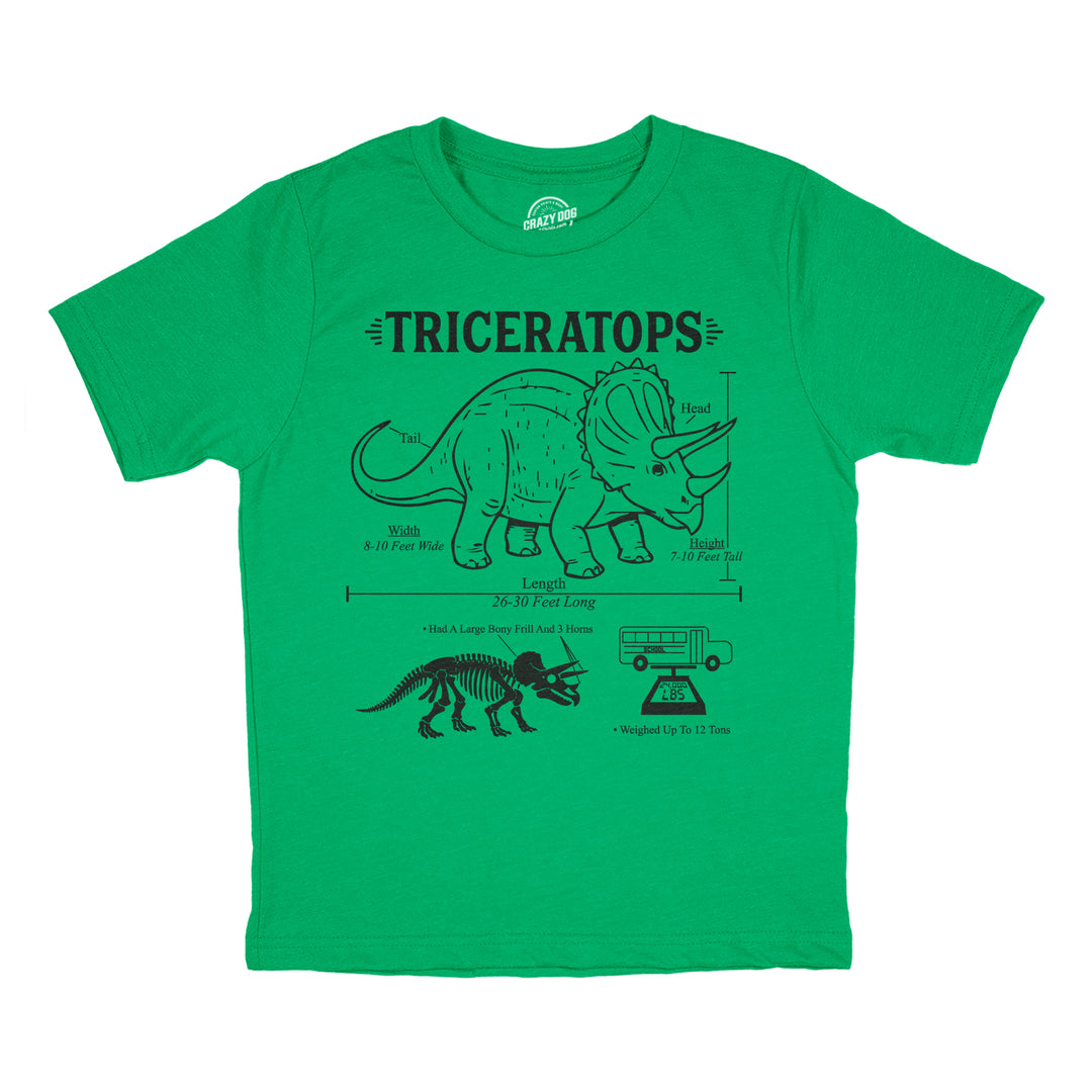 Funny Heather Green - Triceratops Infographic Triceratops Infographic Youth T Shirt Nerdy dinosaur science Tee