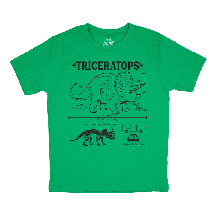 Funny Heather Green - Triceratops Infographic Triceratops Infographic Youth T Shirt Nerdy dinosaur science Tee