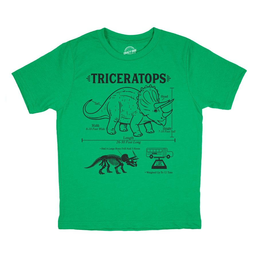 Funny Heather Green - Triceratops Infographic Triceratops Infographic Youth T Shirt Nerdy dinosaur science Tee