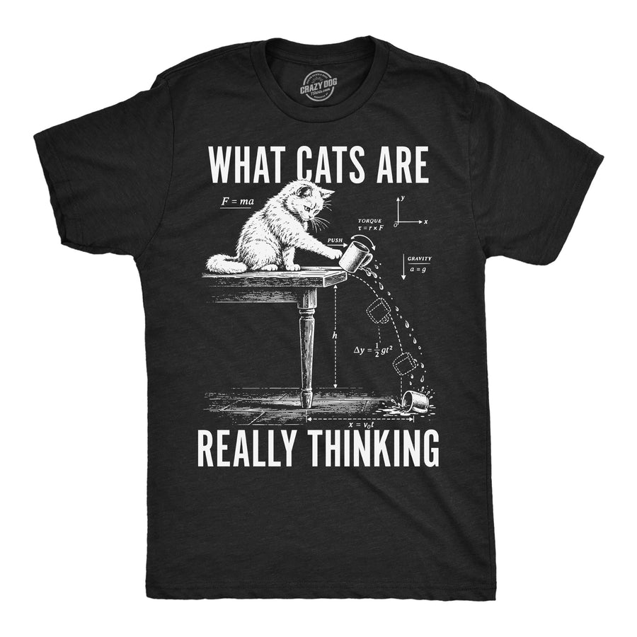 Funny Heather Black -  Cats Really Thinking What Cats Are Really Thinking Mens T Shirt Nerdy cat Tee