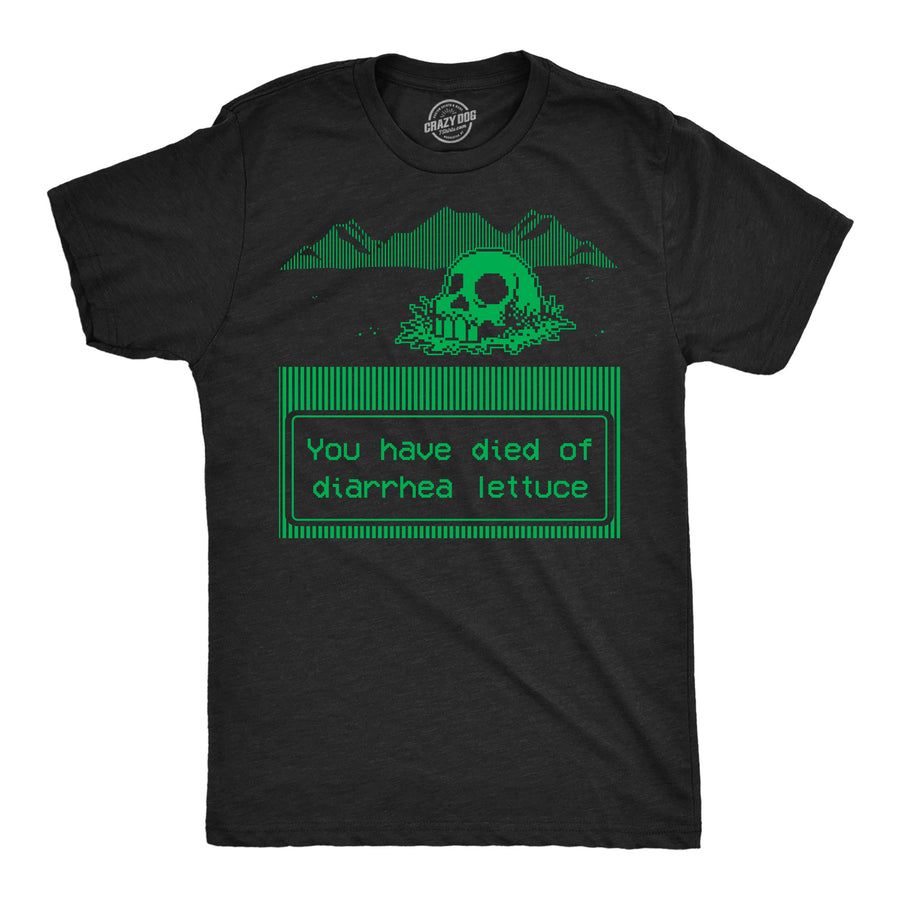 Funny Heather Black - Diarrhea Lettuce You Have Died Of Diarrhea Lettuce Mens T Shirt Nerdy Video Games Tee