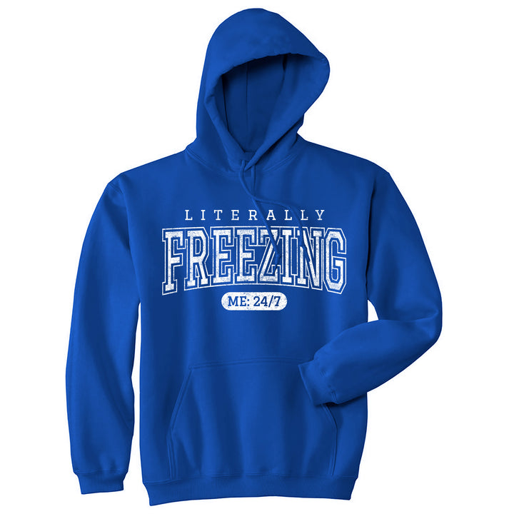 Funny Royal - Literally Freezing Literally Freezing Hoodie Nerdy Christmas Tee