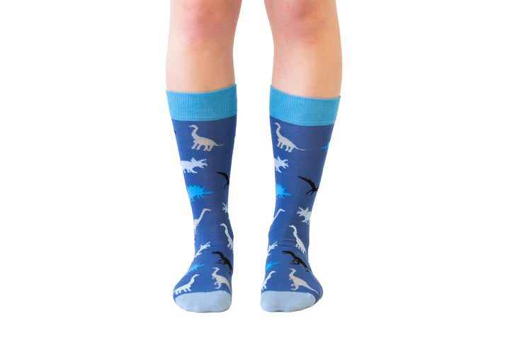 Mens Dinosaurs Socks