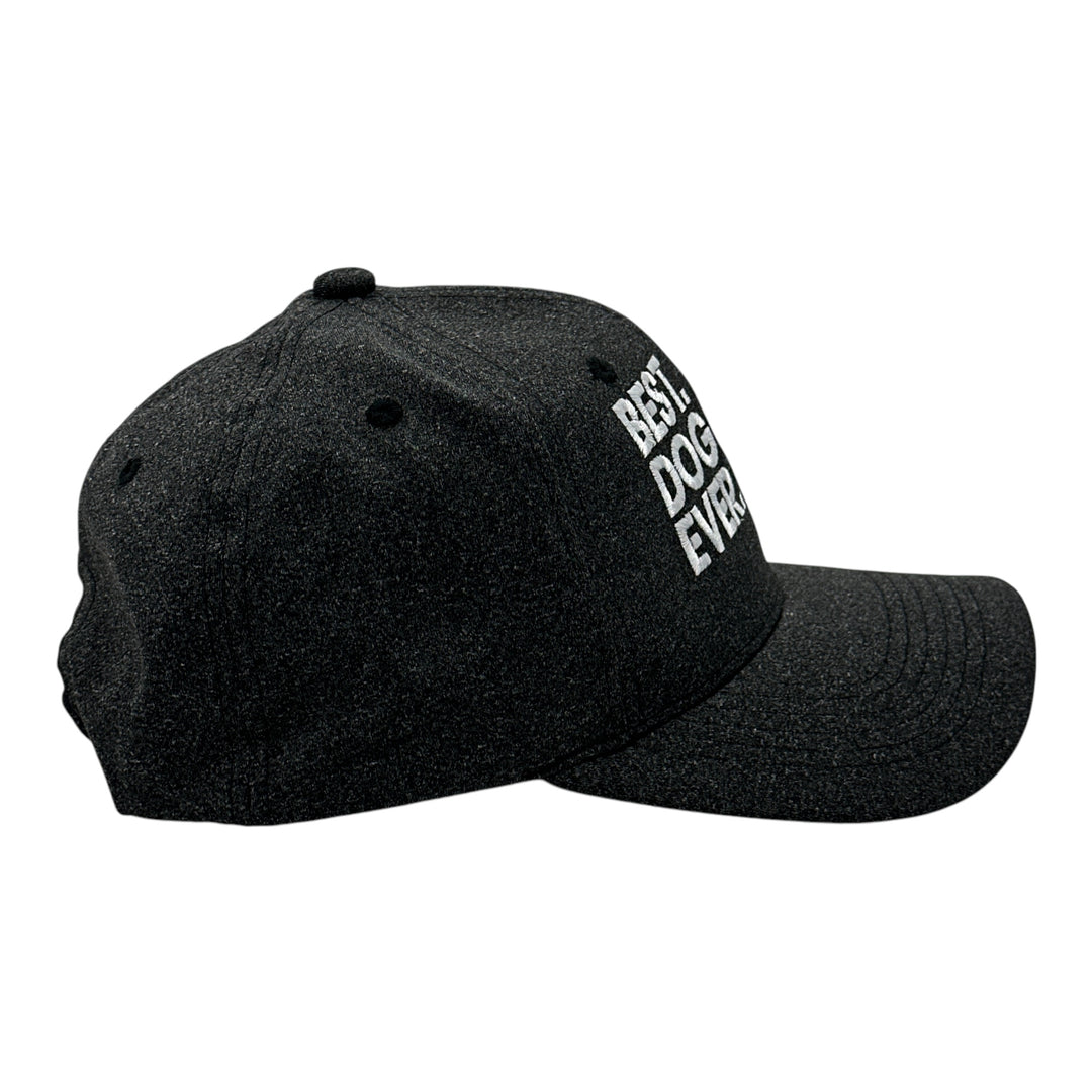 Best Dog Mom Ever Hat Funny Mothers Day Pet Puppy Animal Lover Cap