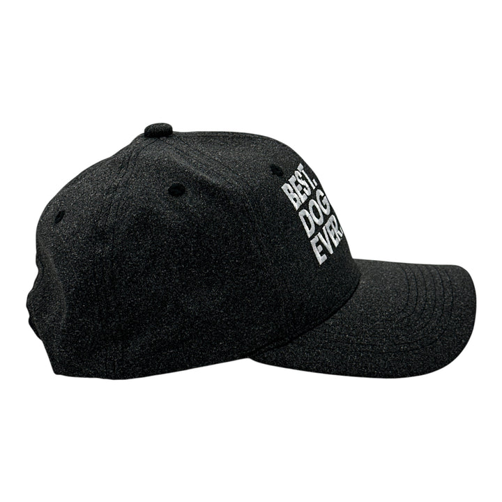Best Dog Mom Ever Hat Funny Mothers Day Pet Puppy Animal Lover Cap