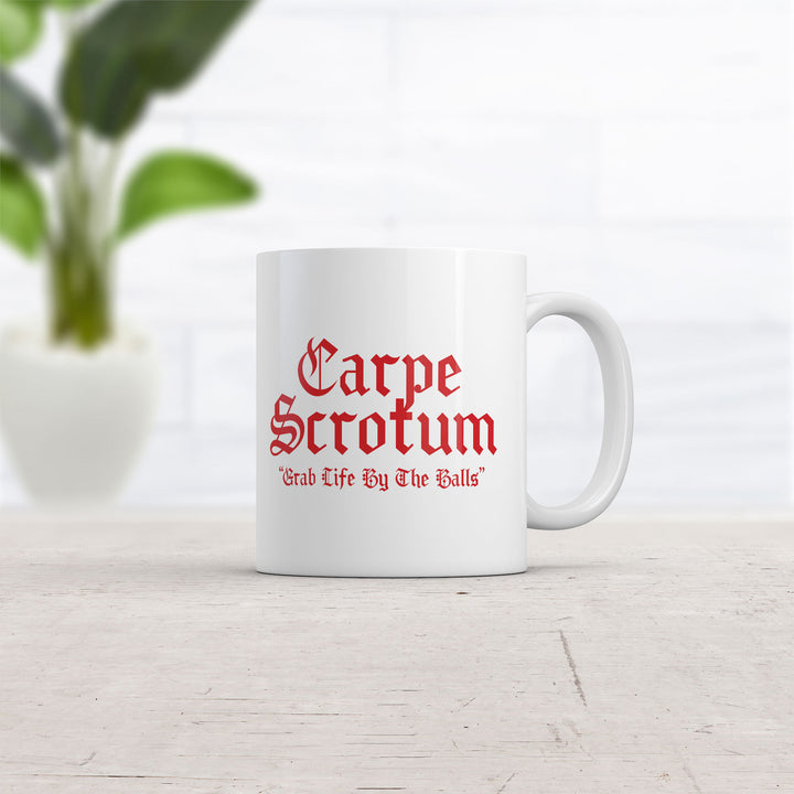 Carpe Scrotum Grab Life By The Balls Mug