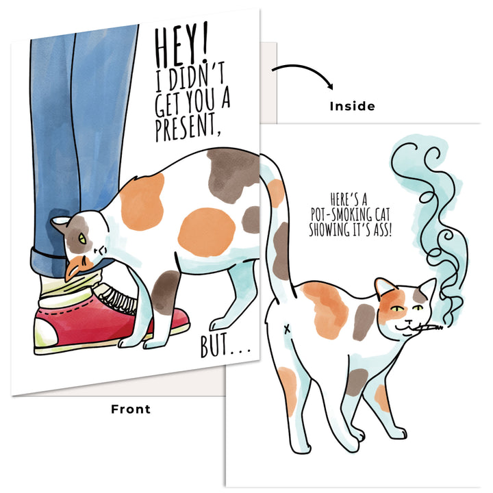 Funny Birthday Card Hilarious Assorted Cards For Celebrating With Envelopes