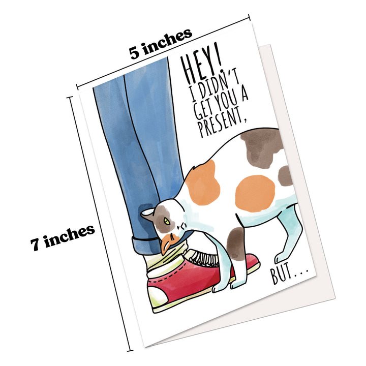 Funny Birthday Card Hilarious Assorted Cards For Celebrating With Envelopes