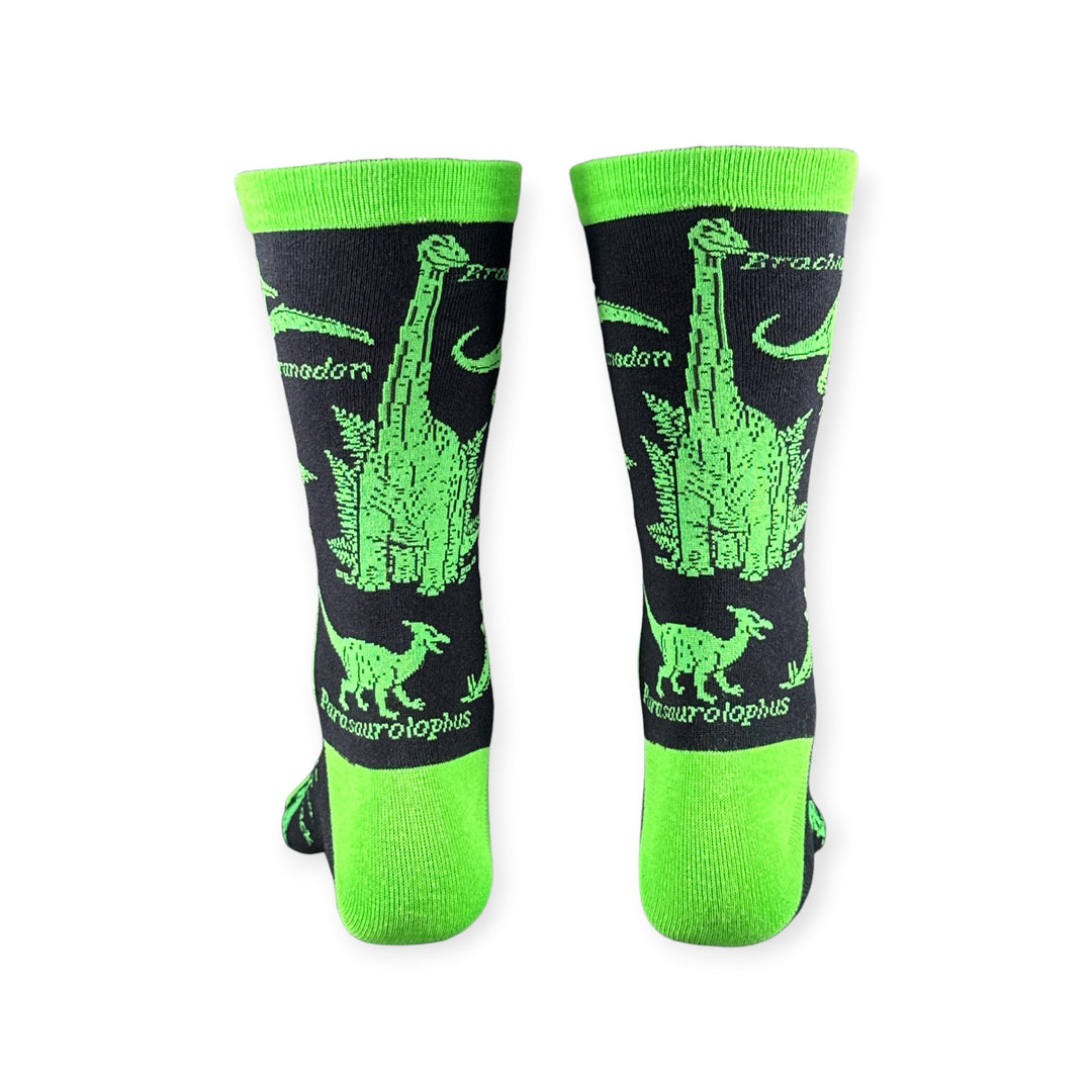 Dinosaurs And Human Dino Snack Socks