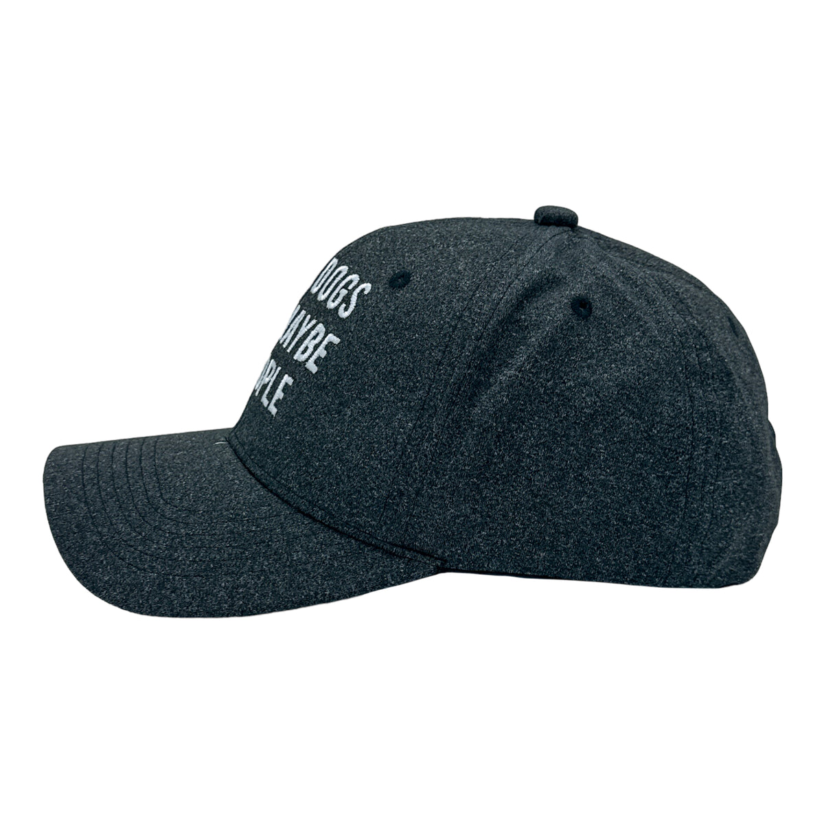 I Like Dogs And Maybe 3 People Hat Funny Puppy Pet Lovers Cap