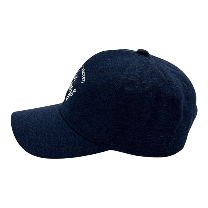 Easily Distracted By Dogs Hat Funny Cute Puppy Dog Lover Cap