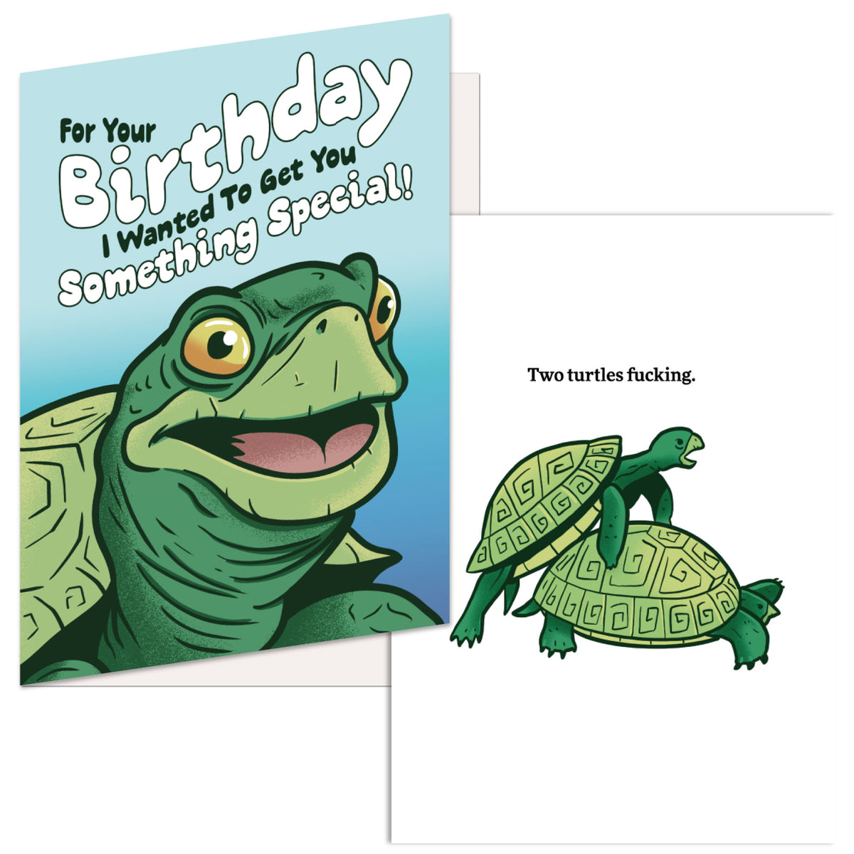 Funny Turtles Birthday Nerdy Birthday Animal Tee