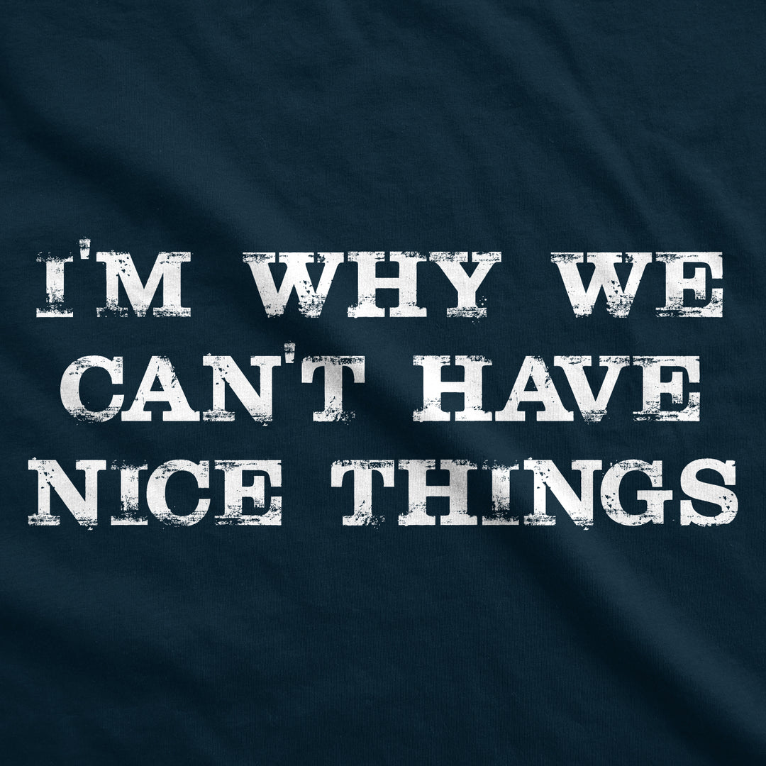 I'm Why We Cant Have Nice Things Hoodie