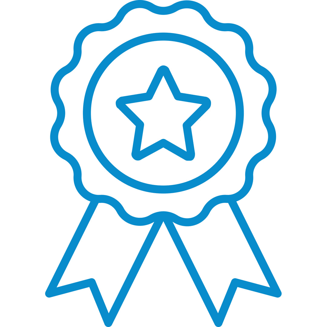 Ribbon Icon