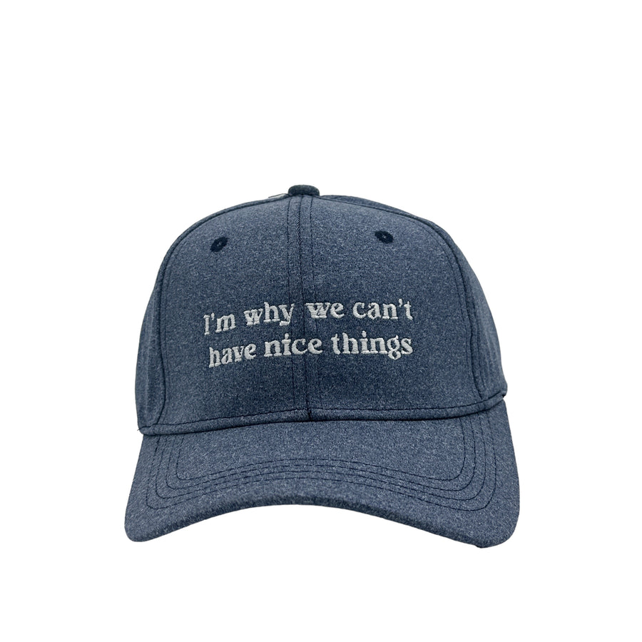 Funny Im Why We Cant Have Nice Things Nerdy Father's Day Mother's Day Tee