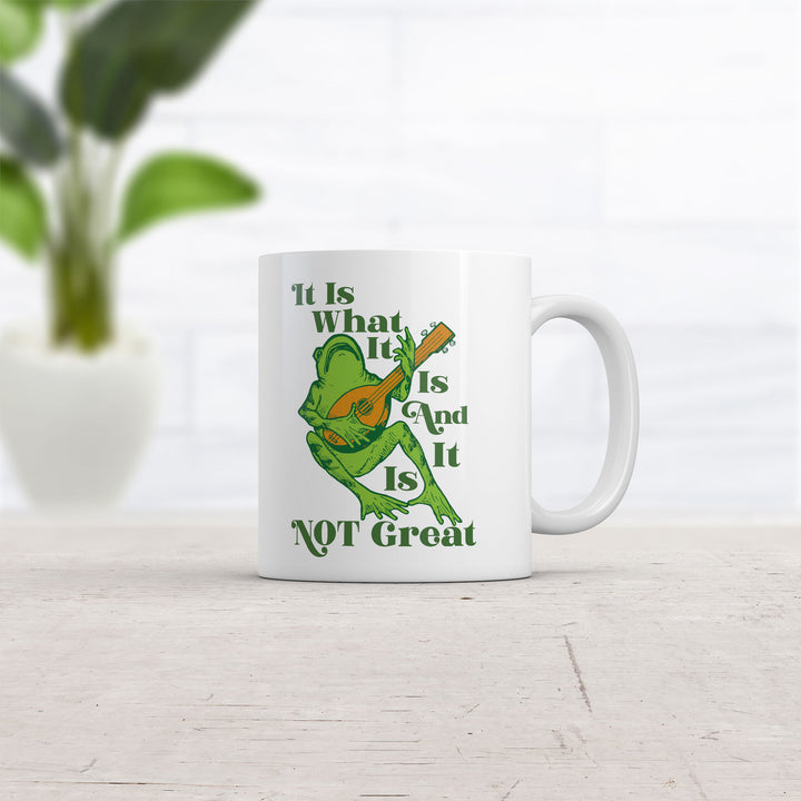 It Is What It Is And It Is Not Great Mug
