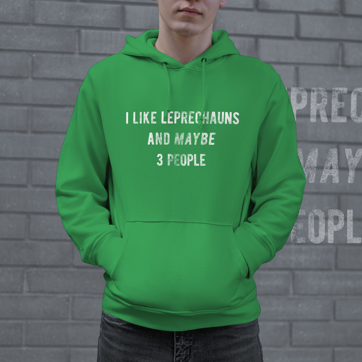 I Like Leprechauns And Maybe 3 People Hoodie