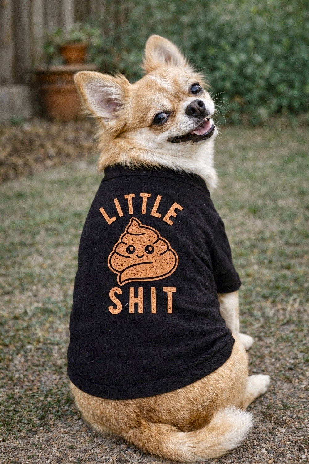 A lifestyle image of the product.
