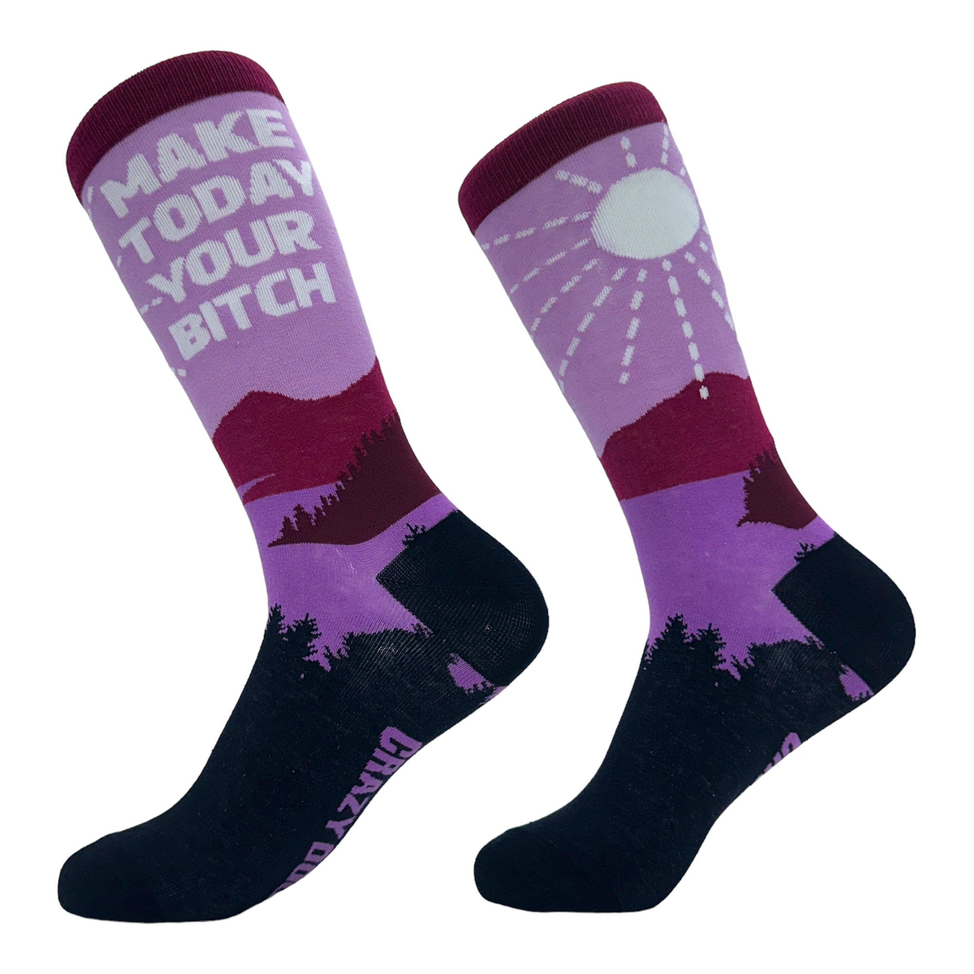 Funny Multi - Your Bitch Women's Make Today Your Bitch Sock Nerdy Motivational sarcastic Tee