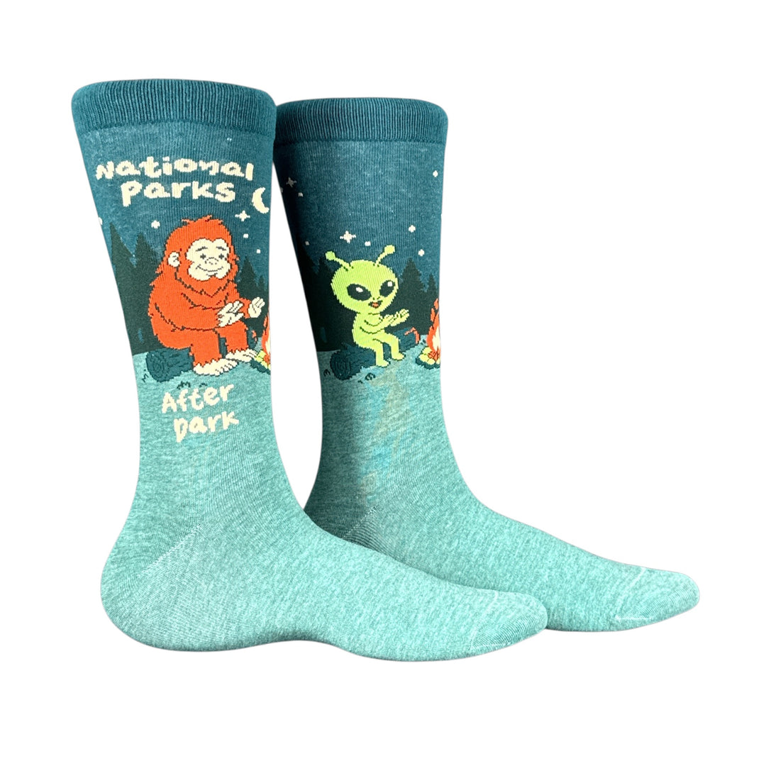 Funny National Parks National Parks After Dark Sock Nerdy camping space Tee