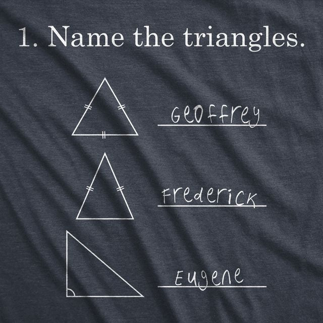 Name The Triangles Men's T Shirt